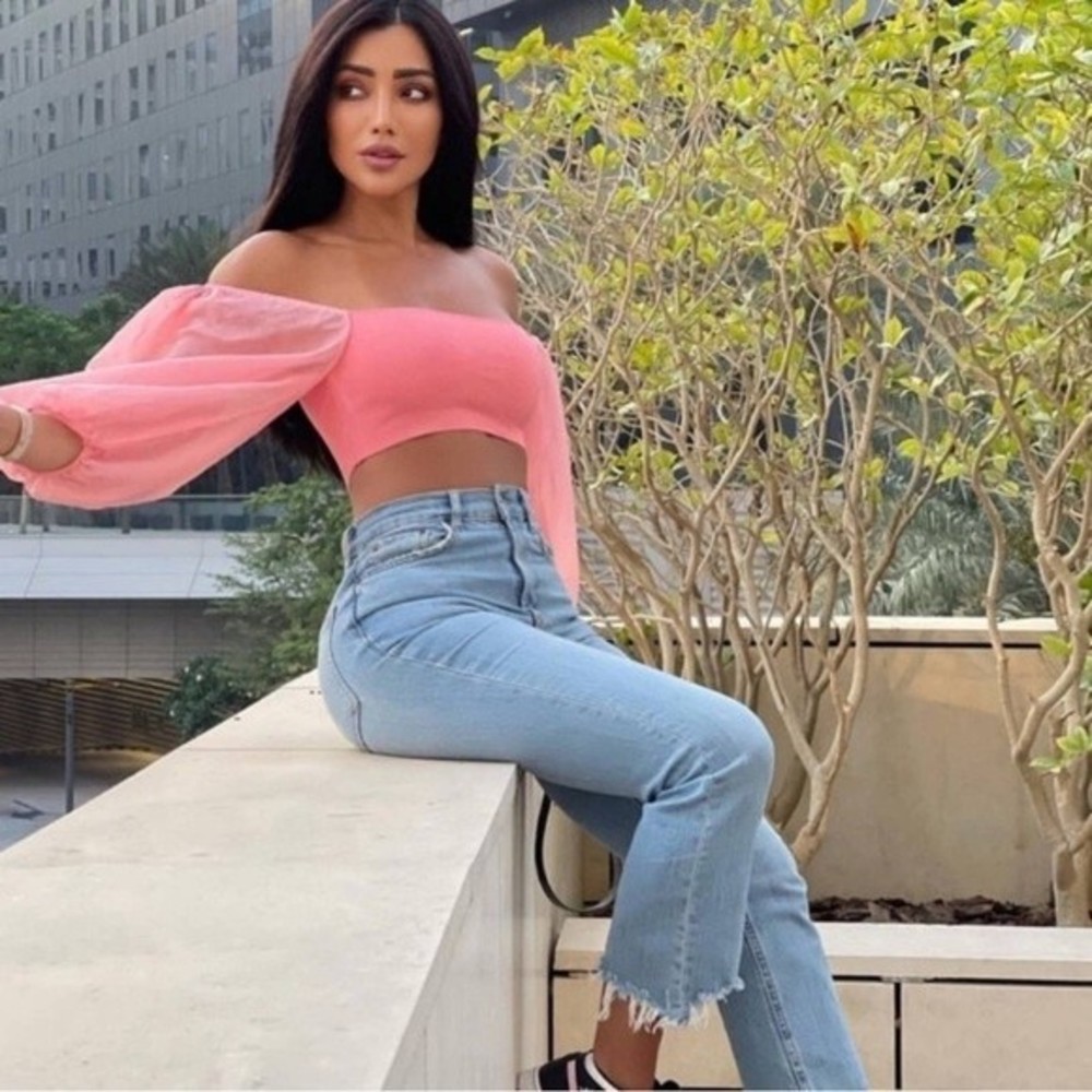 Zara Puff Sleeve Crop Top Pink Sheer Organza SOLD - Picture 15 of 16